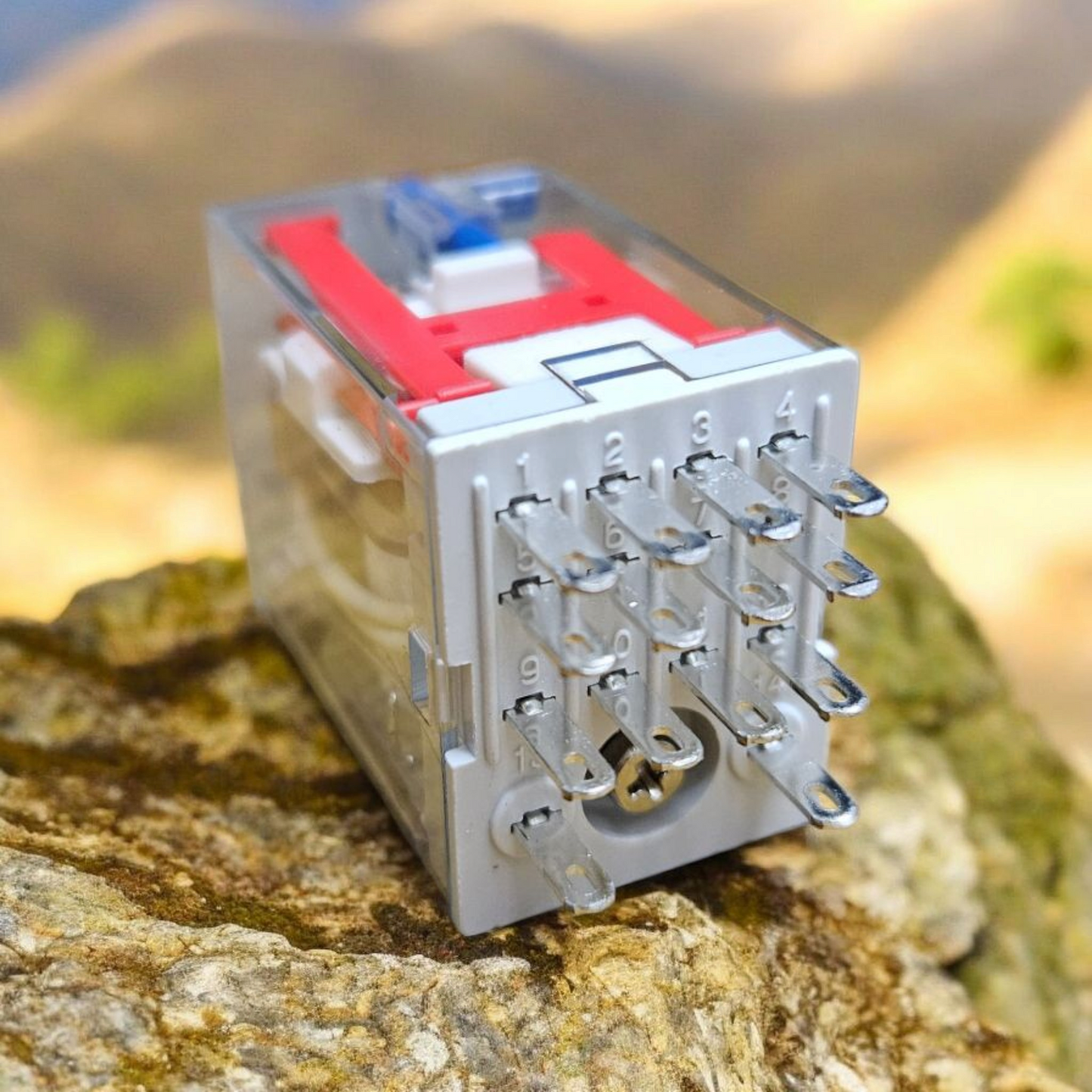 Carlo Gavazzi RMIA4524VDC Relay