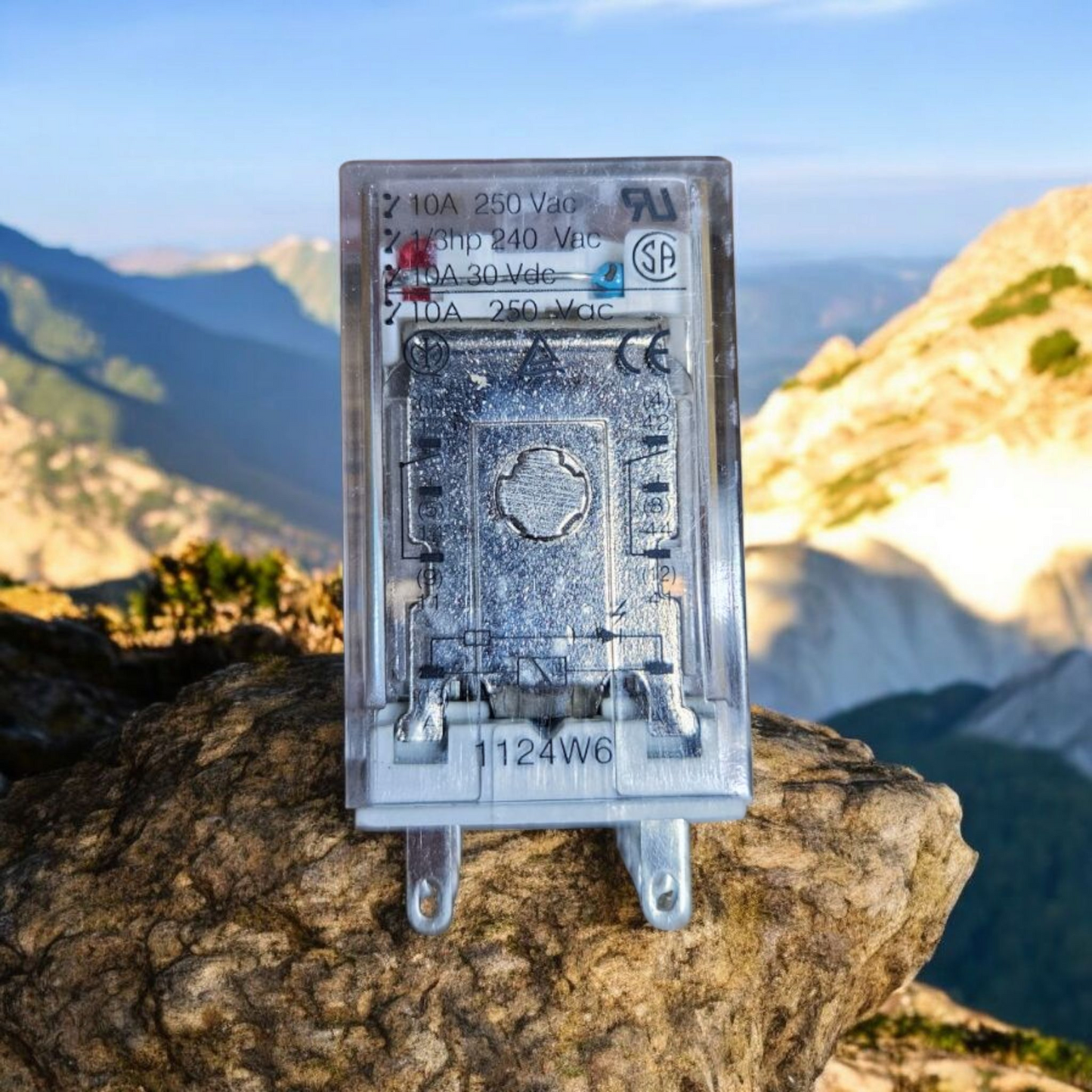 Carlo Gavazzi RMIA210120VAC Relay