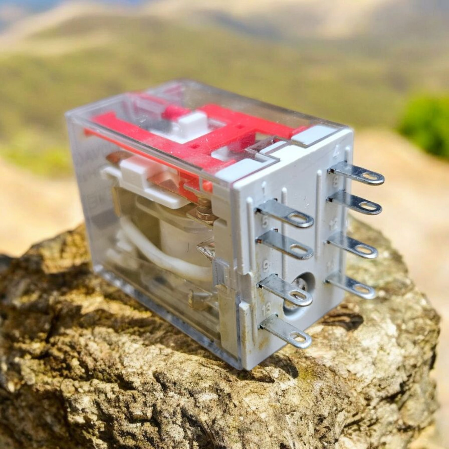 Carlo Gavazzi RMIA210120VAC Relay